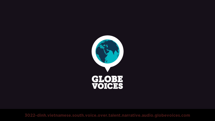 Vietnamese (South) voice over talent artist actor - 3022-Dinh narrative