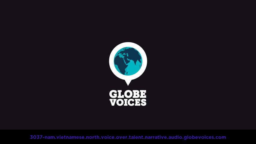 Vietnamese (North) voice over talent artist actor - 3037-Nam narrative