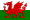 Welsh female and male voice over talents